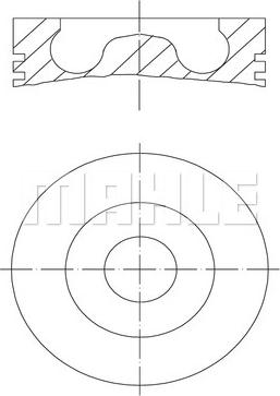 Wilmink Group WG1213623 - Поршень avtolavka.club