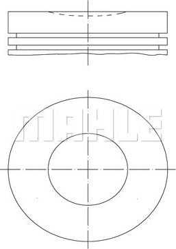 Wilmink Group WG1213060 - Поршень avtolavka.club