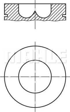 Wilmink Group WG1213184 - Поршень avtolavka.club