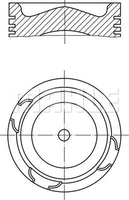 Wilmink Group WG1213881 - Поршень avtolavka.club