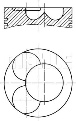 Wilmink Group WG1213764 - Поршень avtolavka.club