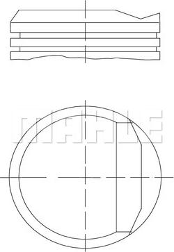 Wilmink Group WG1212438 - Поршень avtolavka.club