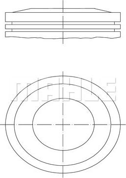 Wilmink Group WG1212344 - Поршень avtolavka.club