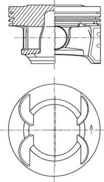 Wilmink Group WG1726343 - Поршень avtolavka.club