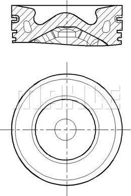 Wilmink Group WG2196018 - Поршень avtolavka.club