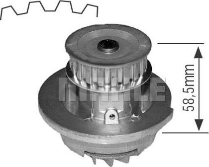 Wilmink Group WG2181578 - Водяний насос avtolavka.club