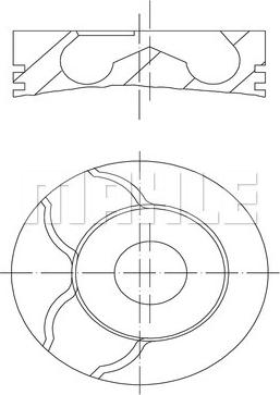 Wilmink Group WG2179633 - Поршень avtolavka.club