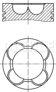 Wilmink Group WG2179703 - Поршень avtolavka.club