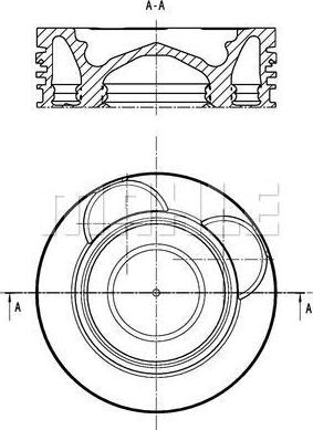 Wilmink Group WG2325828 - Поршень avtolavka.club