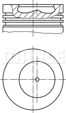 Wilmink Group WG2258817 - Поршень avtolavka.club