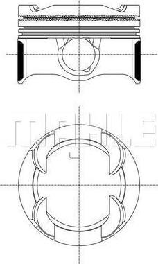 Wilmink Group WG2264125 - Поршень avtolavka.club