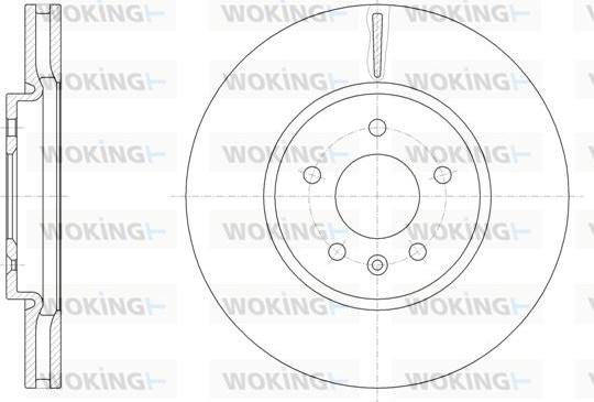 Woking D61541.10 - Гальмівний диск avtolavka.club