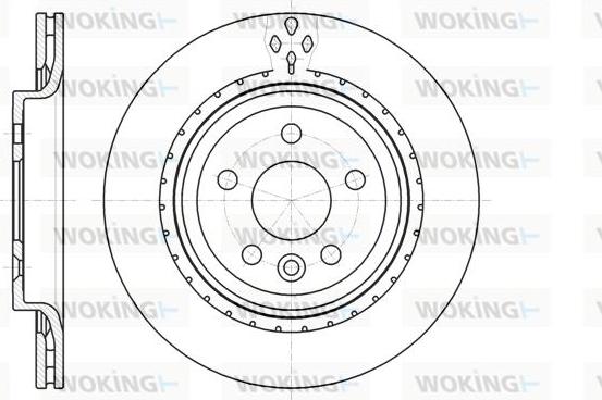 Woking D61305.10 - Гальмівний диск avtolavka.club