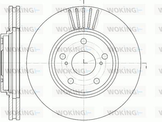 Woking D61228.10 - Гальмівний диск avtolavka.club