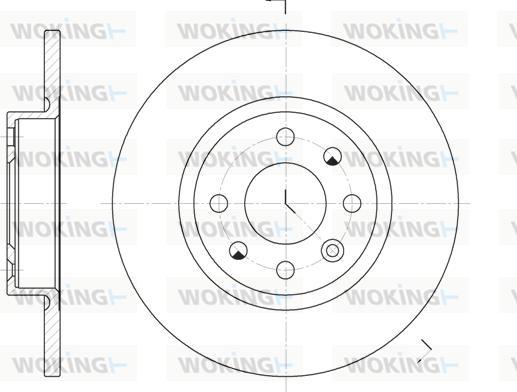 Woking D6209.00 - Гальмівний диск avtolavka.club