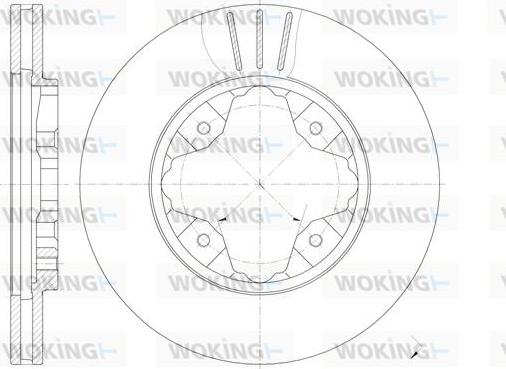 Woking D6205.10 - Гальмівний диск avtolavka.club