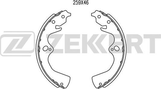 Zekkert BK-4253 - Комплект гальм, барабанний механізм avtolavka.club