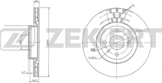 Zekkert BS-5011 - Гальмівний диск avtolavka.club