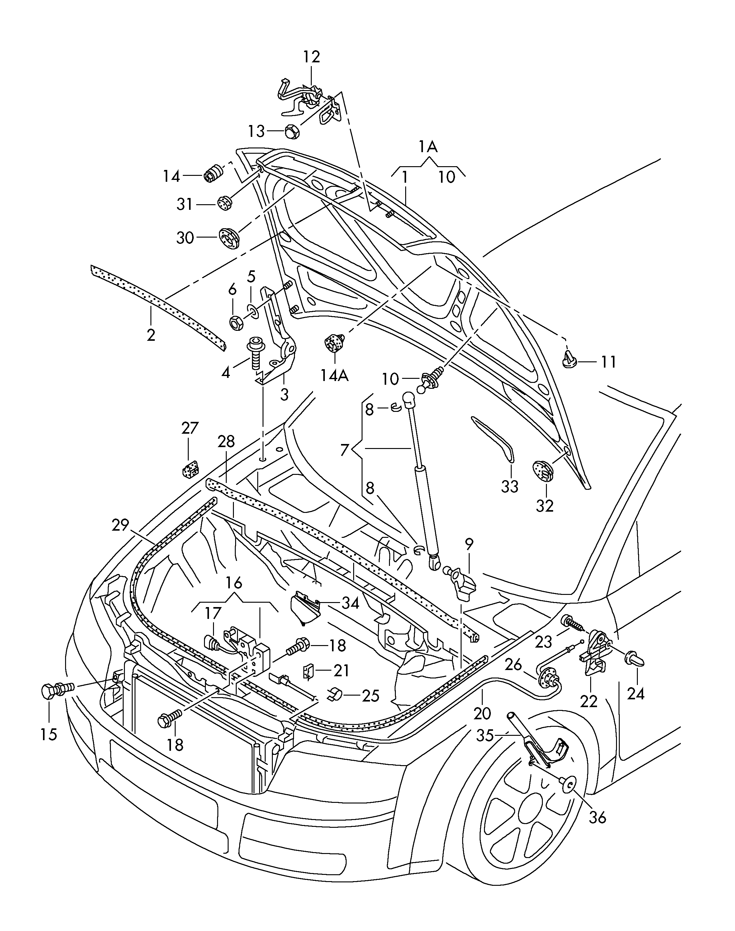 VW 8E0 823 359 A - Газова пружина, капот avtolavka.club