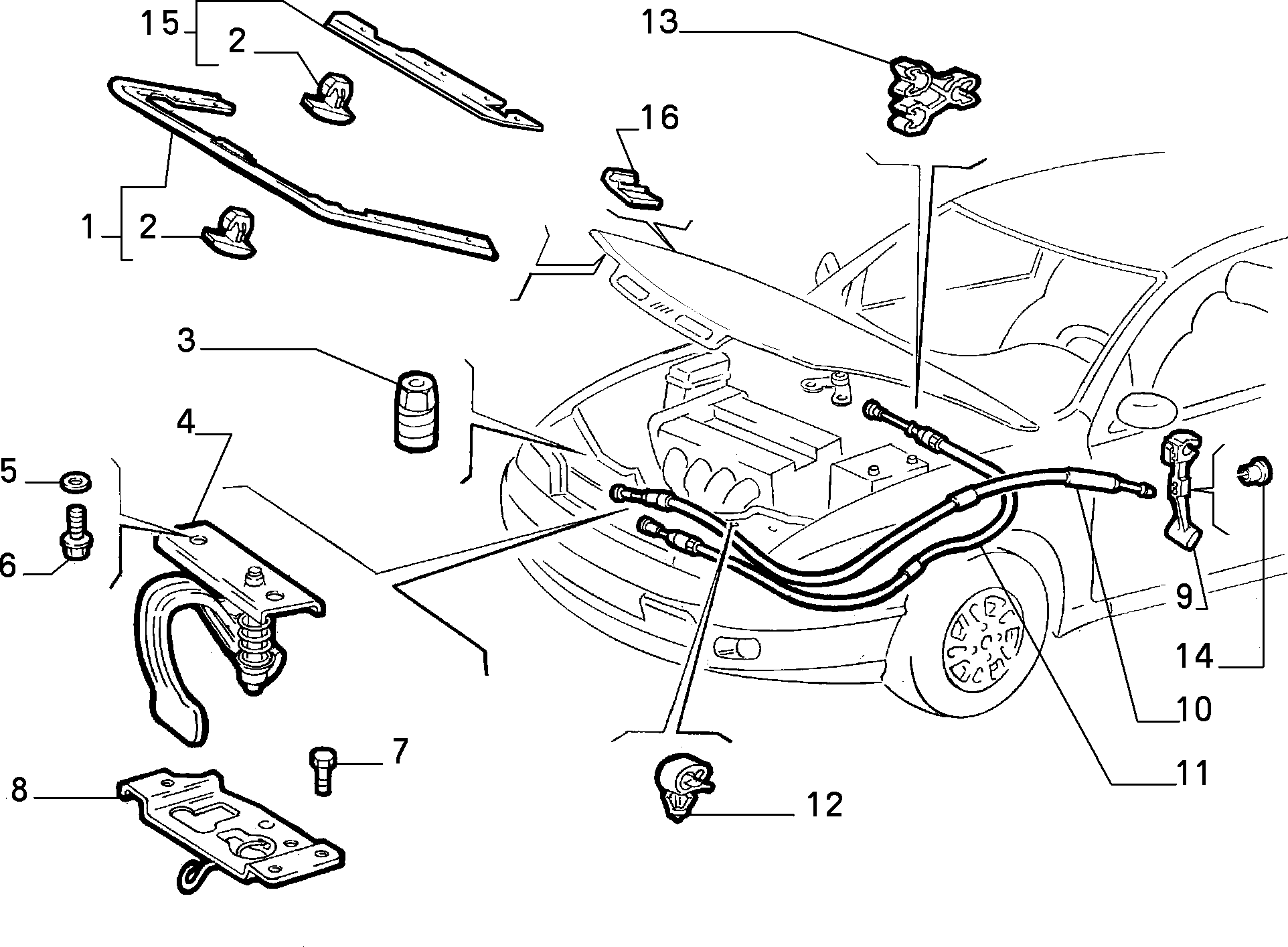 FIAT 7768047 - Зажим, молдинг / захисна накладка avtolavka.club