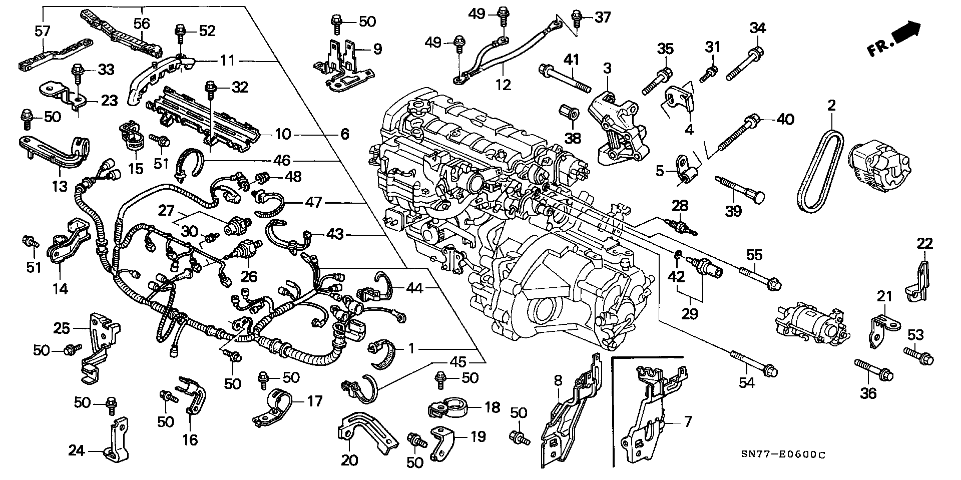 Rover 31110-P44-G03 - Поліклиновий ремінь avtolavka.club