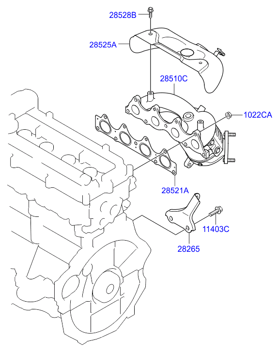 Hyundai 285212B010 - Прокладка, випускний колектор avtolavka.club