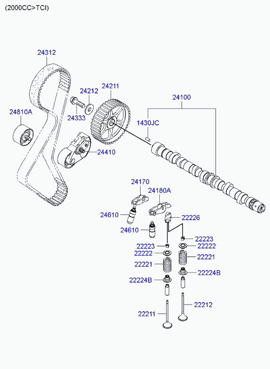 Hyundai 24312 26001 - Ремінь ГРМ avtolavka.club