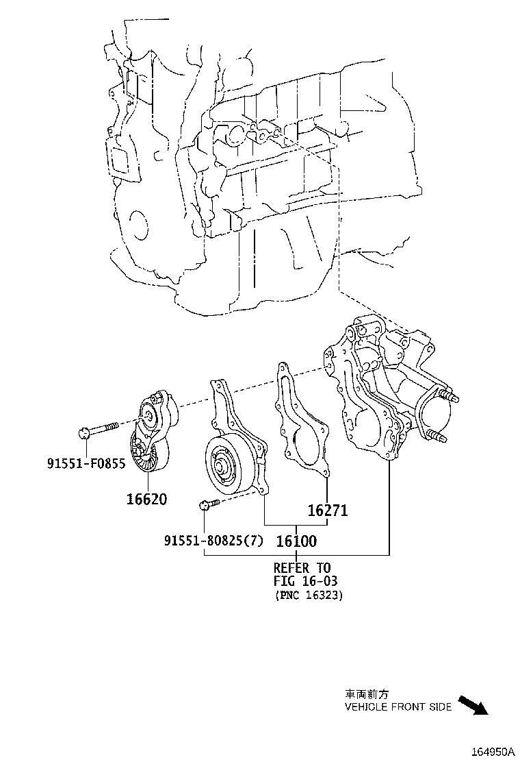 LEXUS 16620-36010 - Паразитний / провідний ролик, поліклиновий ремінь avtolavka.club