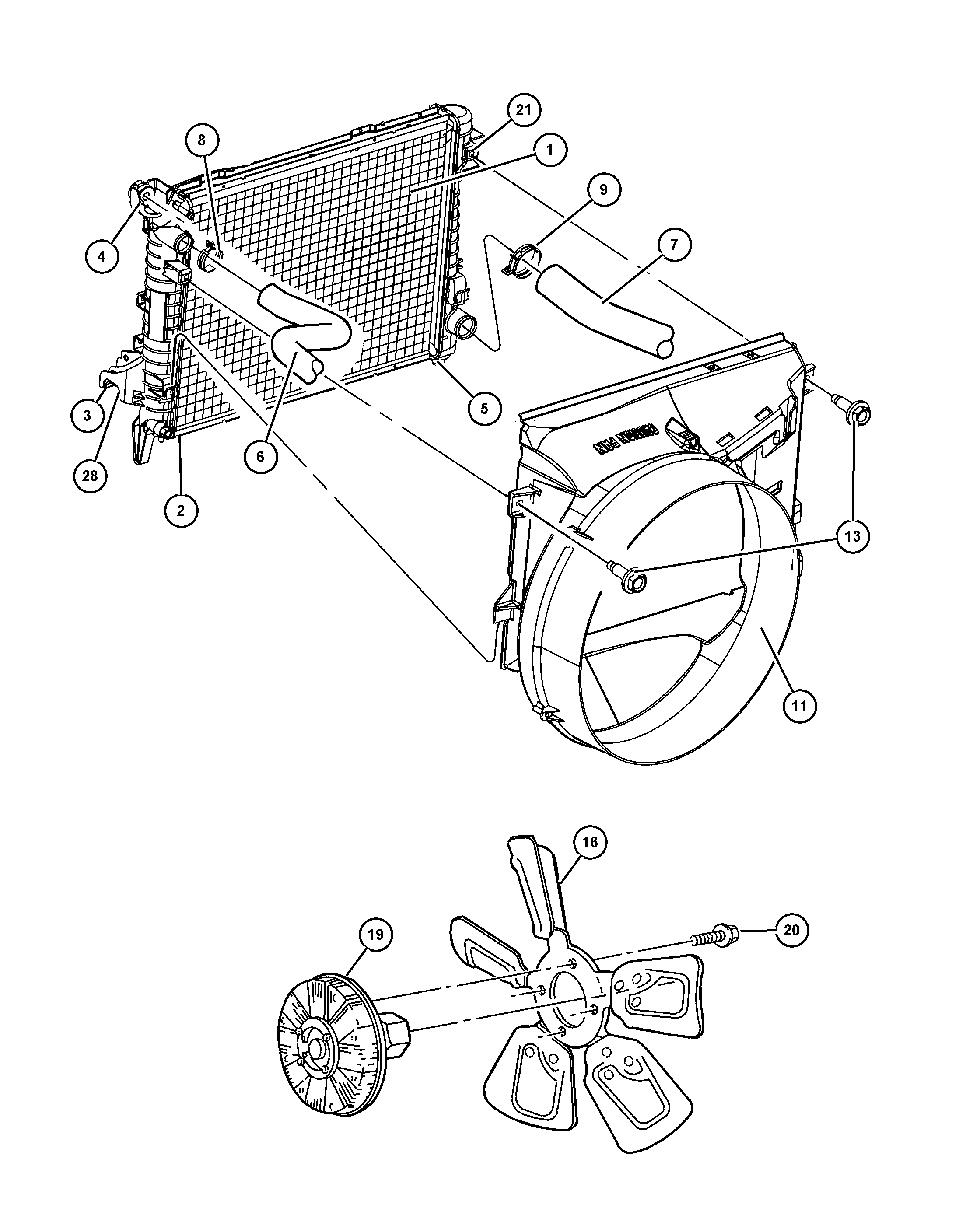 Dodge 55056 982AB - Шланг радіатора avtolavka.club