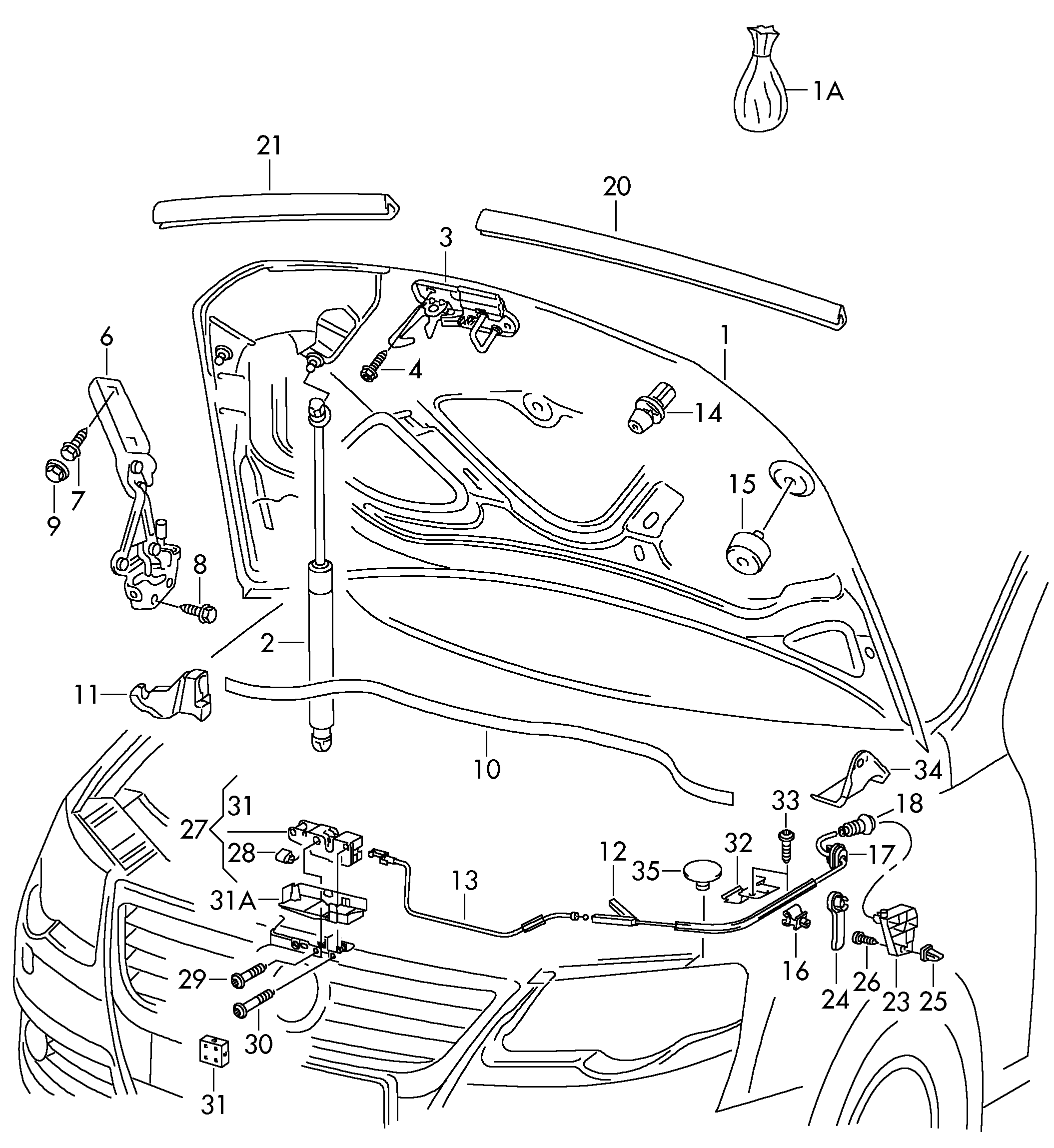 VW 3C0823699 - Капот двигуна avtolavka.club